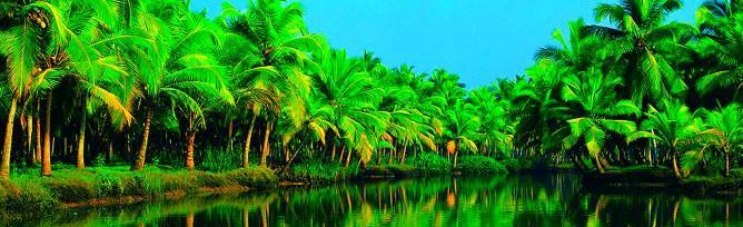 Chaandhni Lake View 호텔 Alappuzha 외부 사진